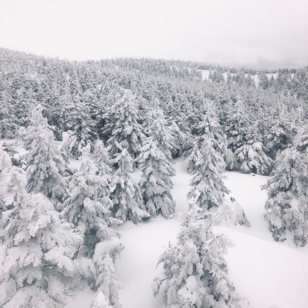 Discovering the Snow Monsters of Zao Onsen, Japan: A Magical Winter Day&nbsp;Trip