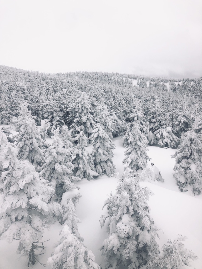 Discovering the Snow Monsters of Zao Onsen, Japan: A Magical Winter Day&nbsp;Trip