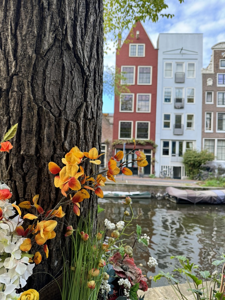 Colorful flowers and tree trunk with colorful houses along a canal with bicycles and green trees in the background - located in Amsterdam, The Netherlands