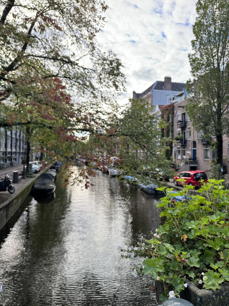 Colorful houses along a canal with bicycles and green trees in Amsterdam, The Netherlands