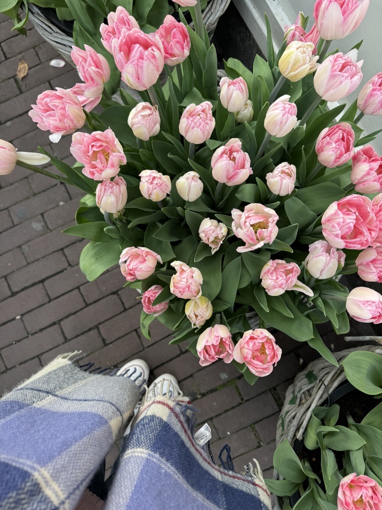Vase of tulips on ground at a market stall in Amsterdam, The Netherlands