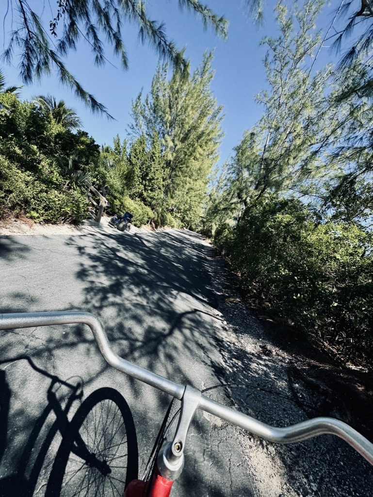 Bike on bike path with shady trees at Castaway Cay.