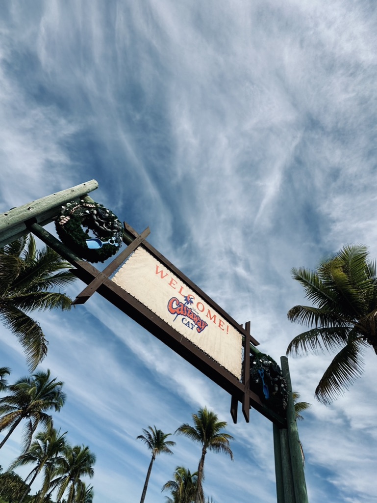 Entrance sign at Castaway Cay with palm trees.