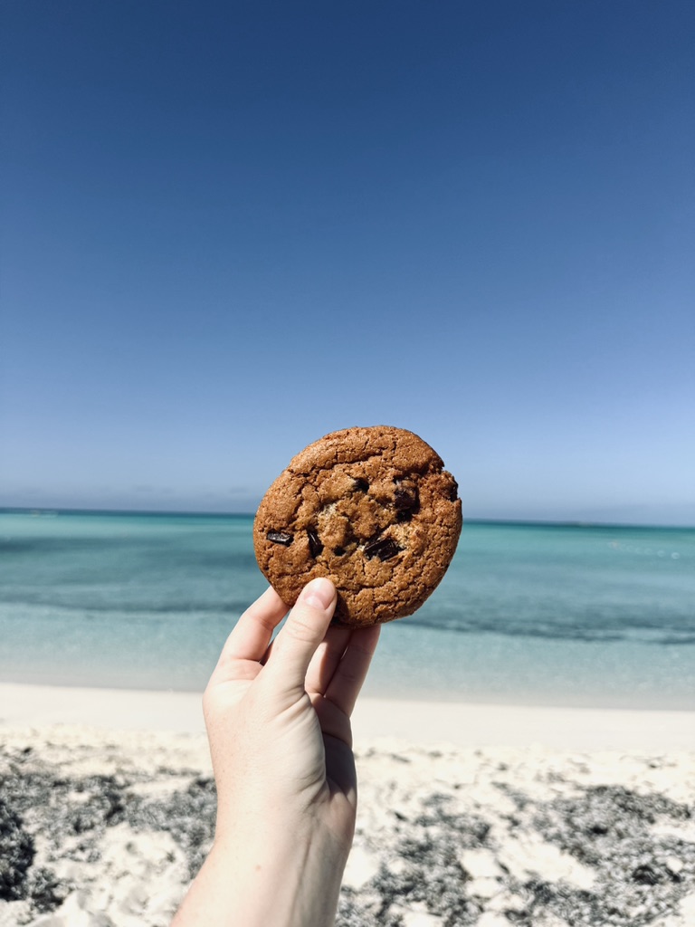 Hand holding a chocolate chip cookie with beach in background at castaway cay.