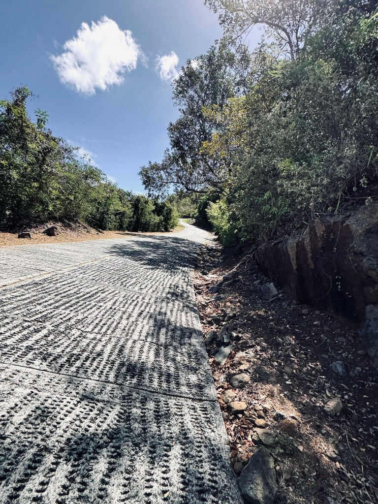 Steep road and shrubbery leading up to Paradise Point at St Thomas.