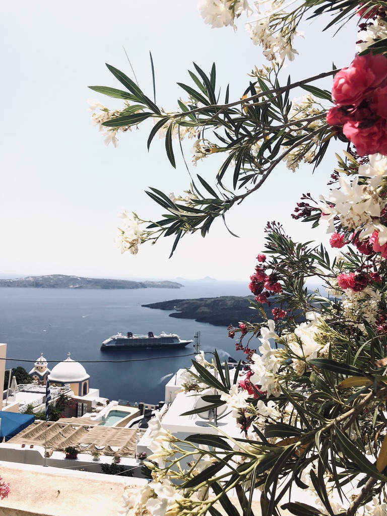 View of ship in ocean from Santorini, Greece with flowers in foreground