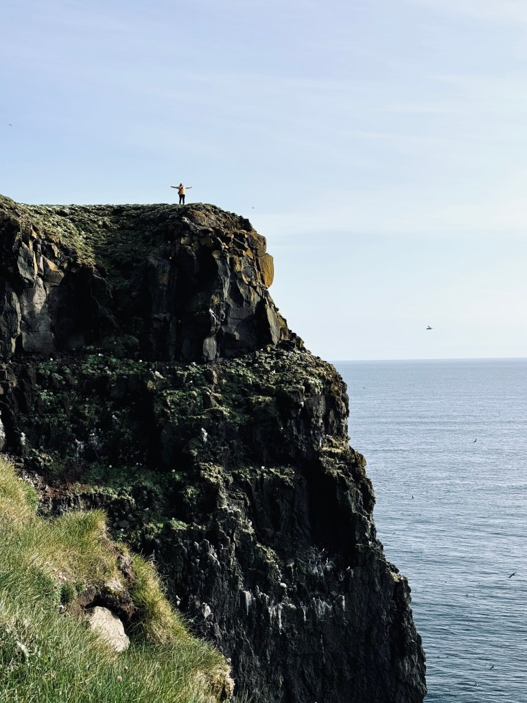 Girl in yellow coat standing on top of a giant dramatic cliff at Puffin Cliffs, Iceland