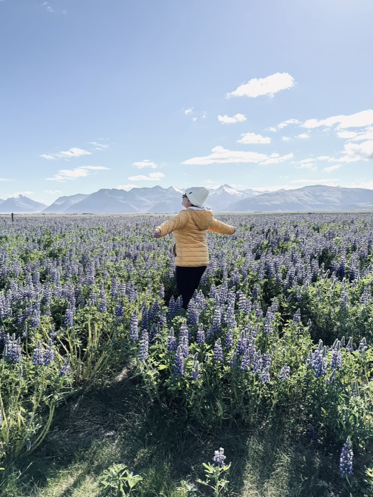 Girl in yellow coat spinning in field of purple lupin flowers with mountains in background in Iceland