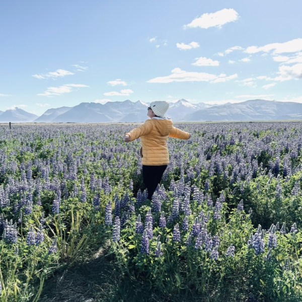 Everything You Need to Know About Doing a Summer Road Trip Around&nbsp;Iceland