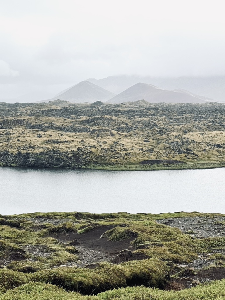 Mossy lava fields with lake in the Westfjords, Iceland