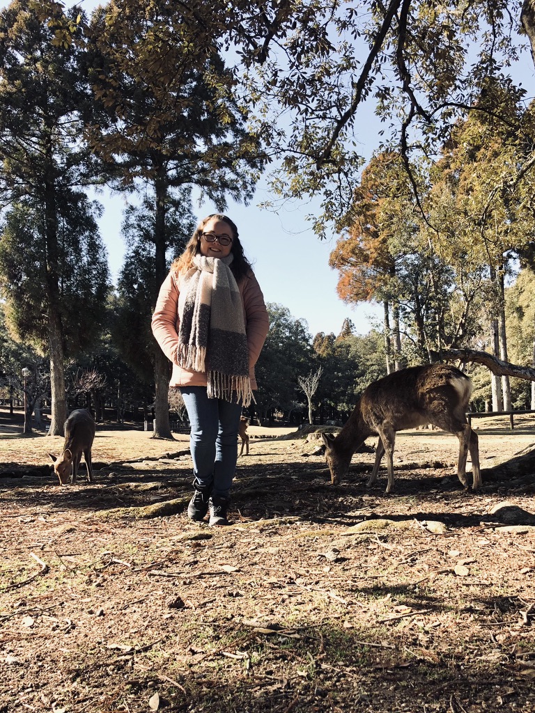 Girl standing with a field of Japanese deer in Nara Park, Japan