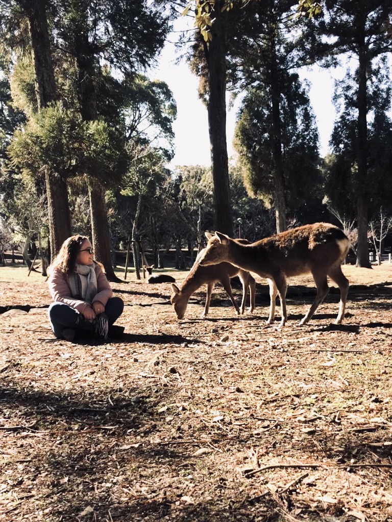 A Guide to Visiting Nara Park in Japan: Temples, Deer and&nbsp;Mochi