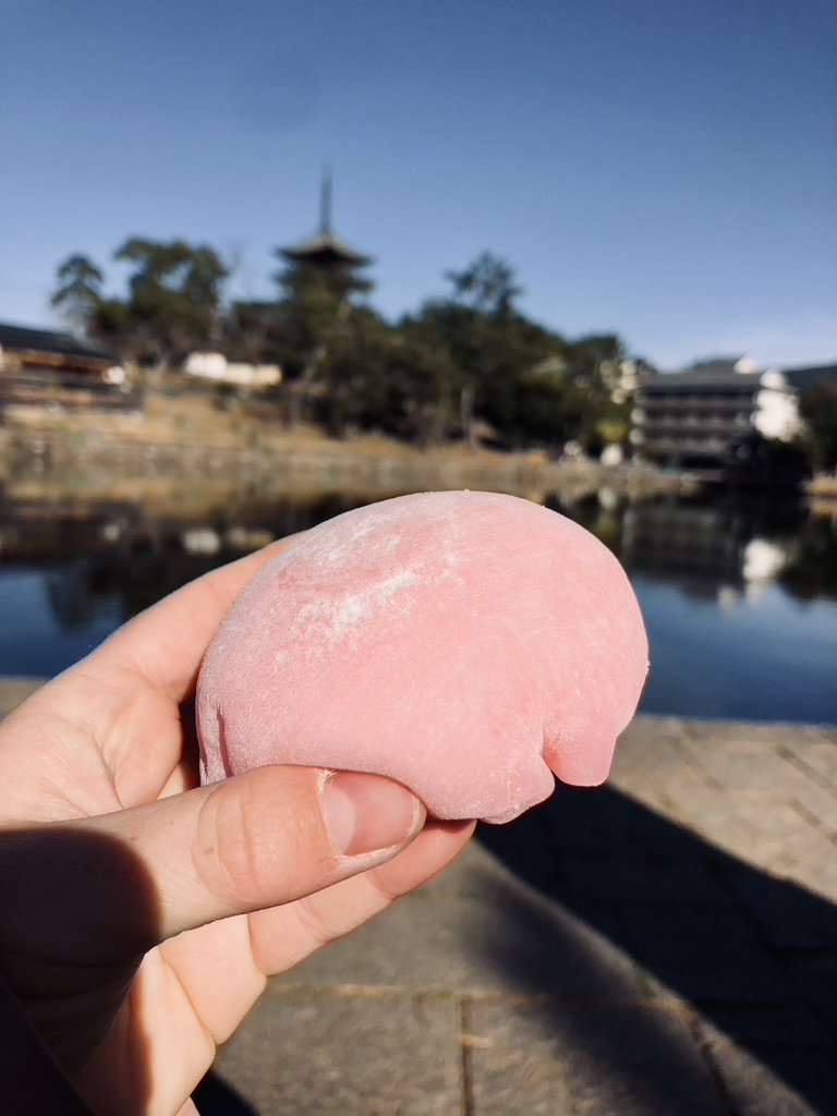 Hand holding strawberry mochi in front of a lake in Nara Park, Japan