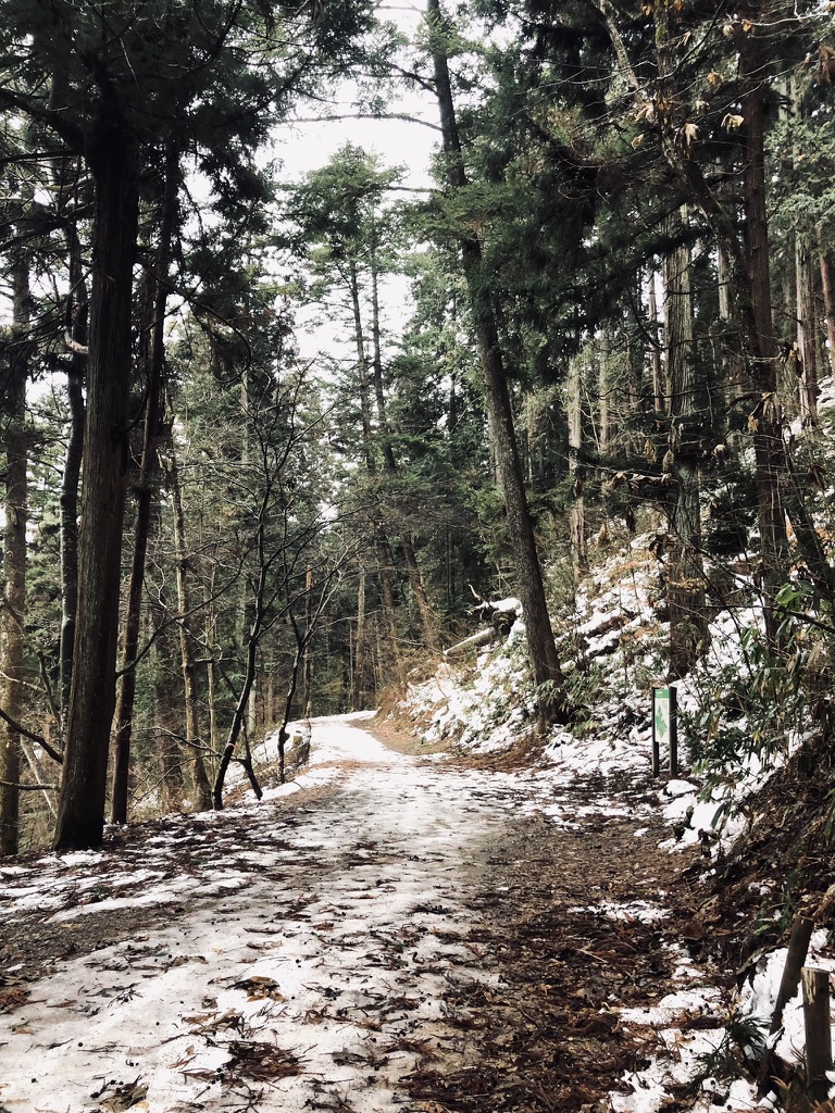 Snowy trail with forest trees in Shiroyama Park in Takayama, Japan