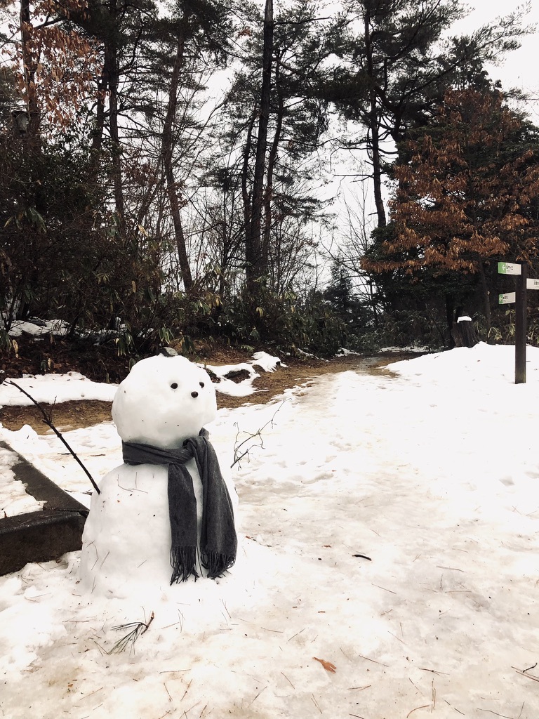 Snowman in winter Shiroyama Park in Takayama, Japan