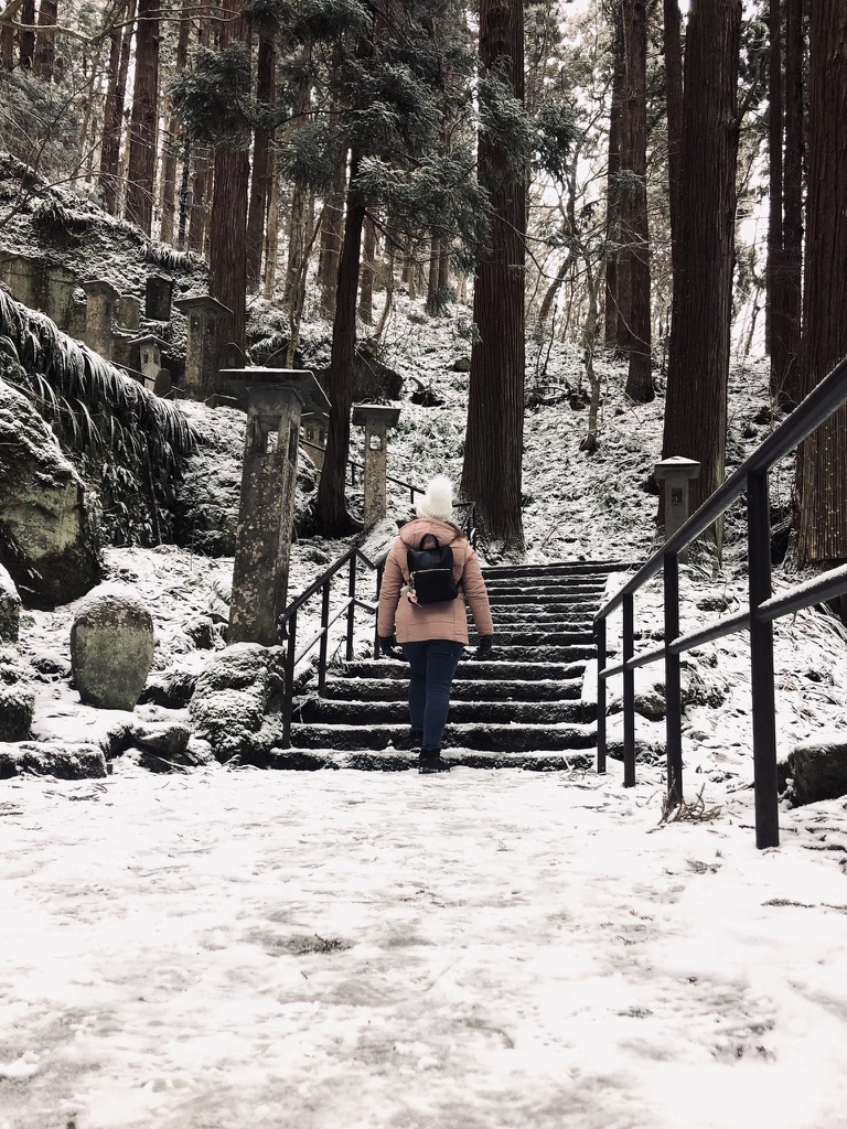 Snow covered steps in forest leading up to temple in Yamadera, Japan