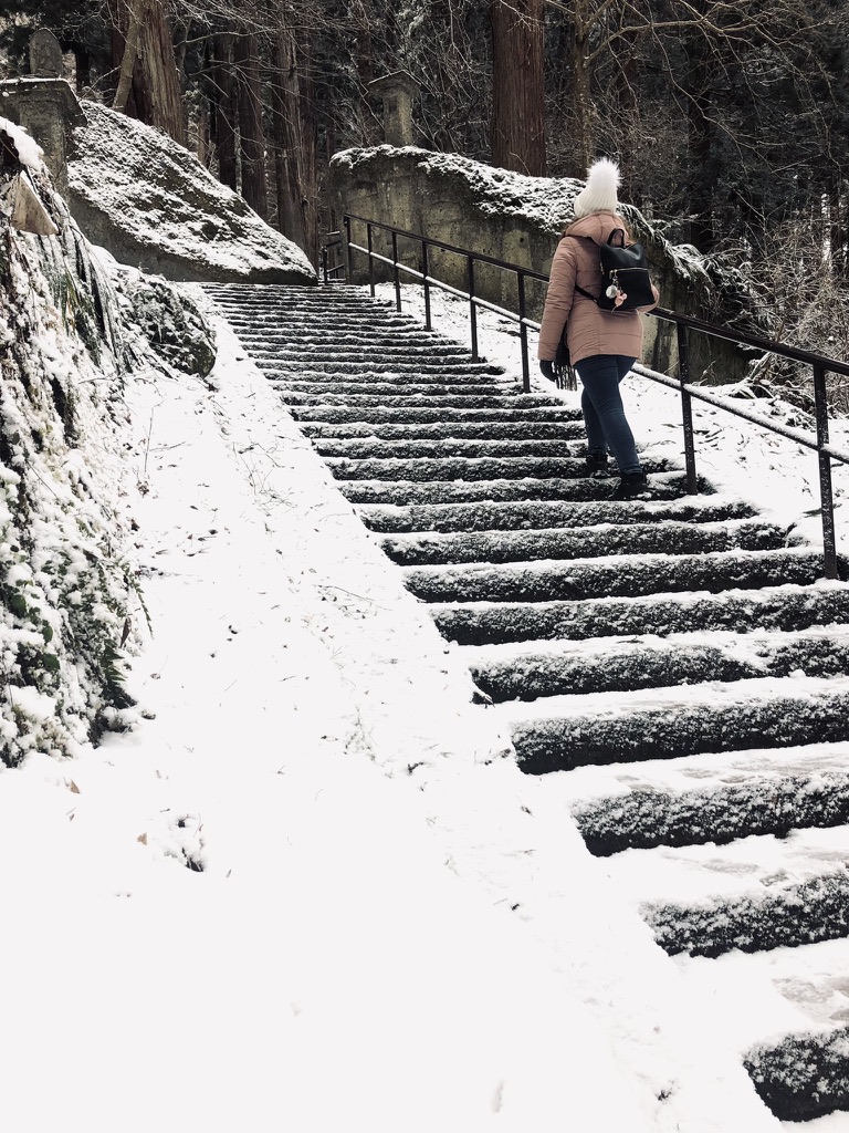 Girl walking up snow covered steps in forest leading up to temple in Yamadera, Japan