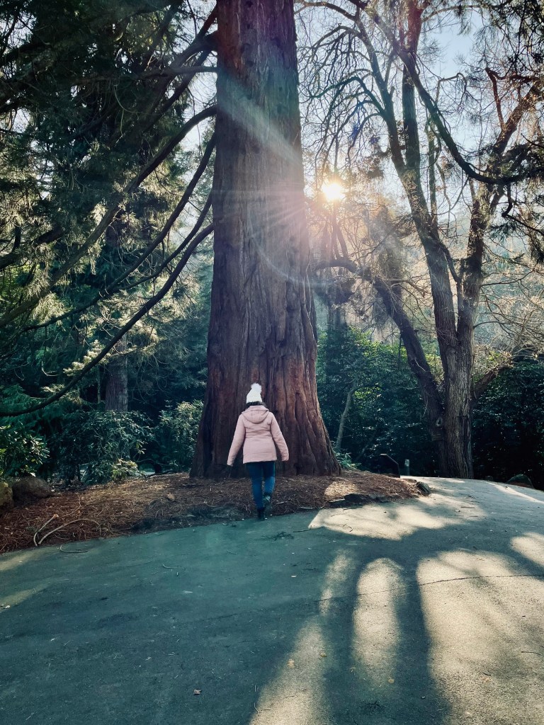 Girl in pink jacket walking towards big tree in Launceston park