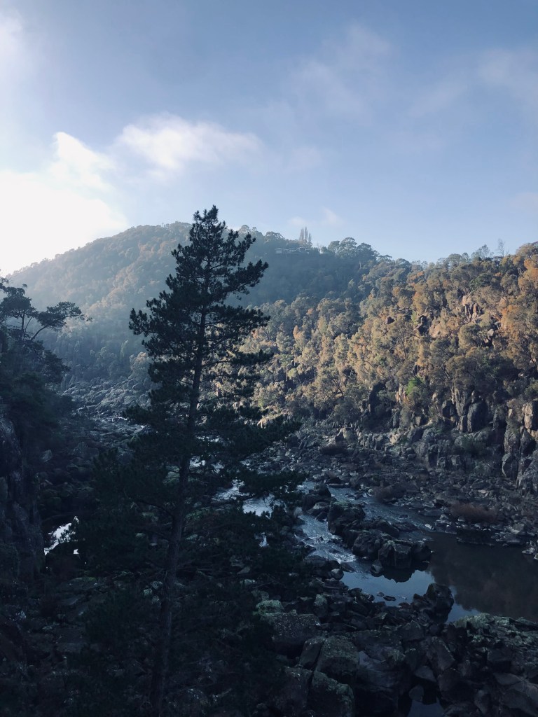 Trees and lake at Cateract Gorge in Launceston, Tasmania
