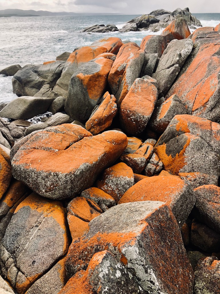 Red rocks at Bay of Fires in Tasmania, Australia