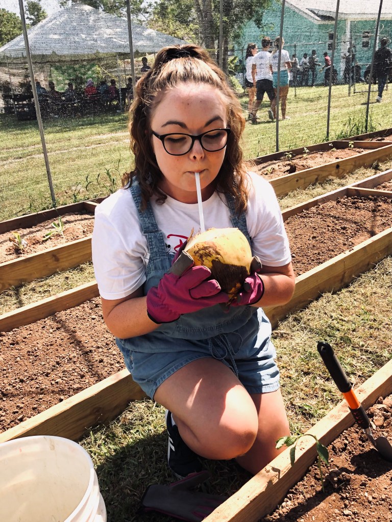Disney crew member participating in voluntears event drinking from a coconut in a garden in nassau