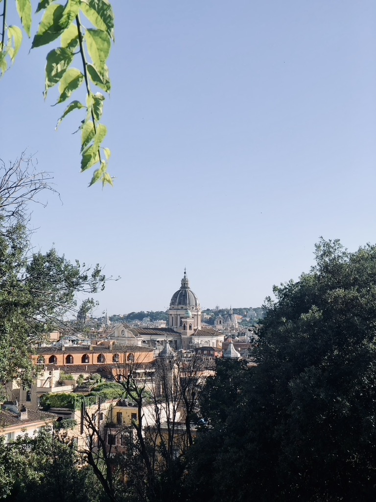 View of Rome from the hill