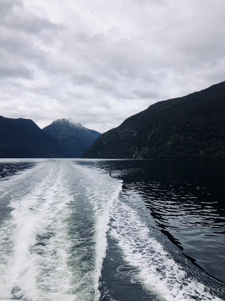 Water ripples from boat at Doubtful Sound, New Zealand
