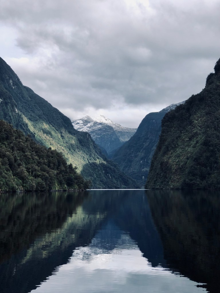 Green mountains and mirror water reflection at Doubtful Sound, New Zealand