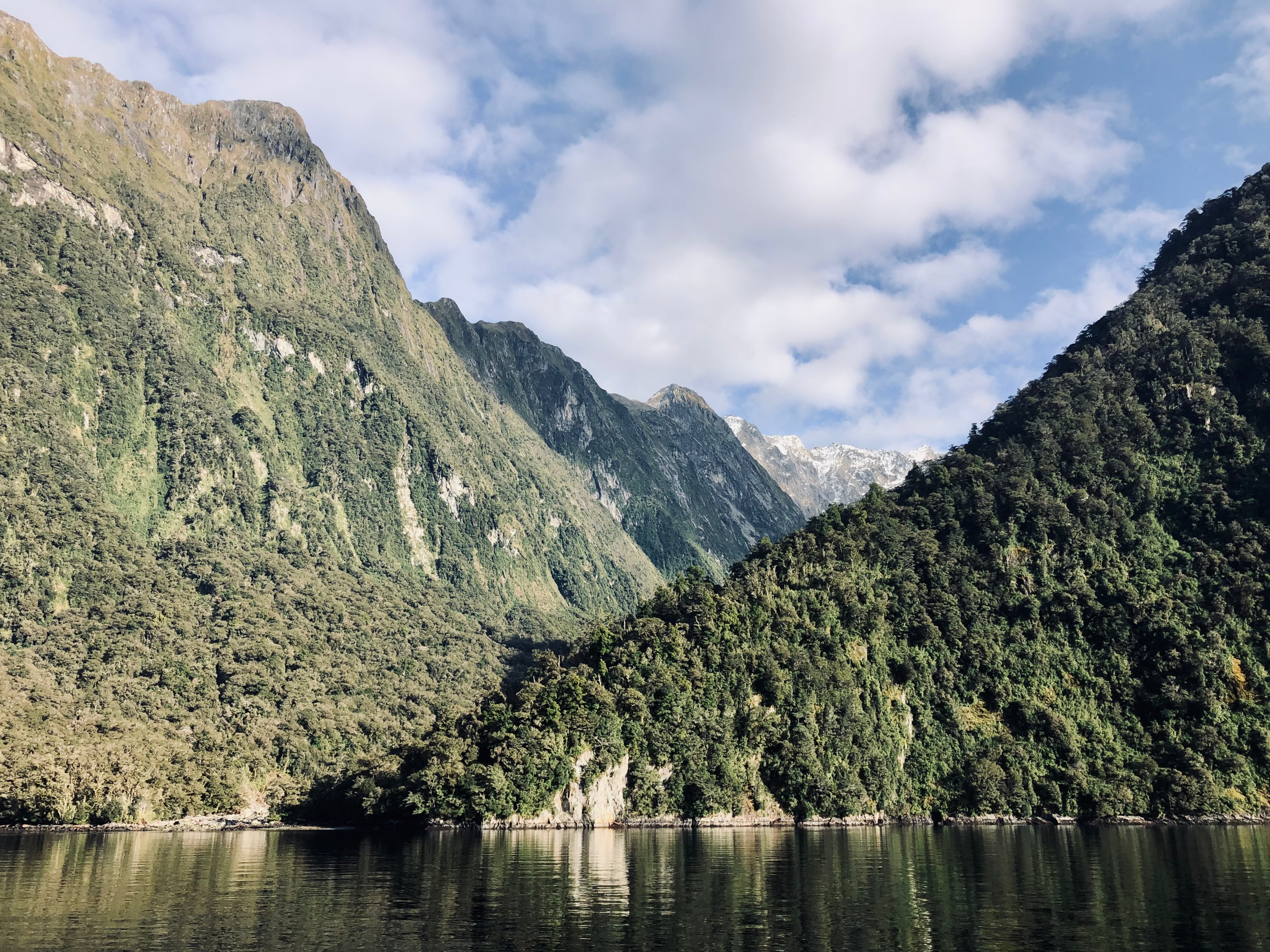Green mountains and water reflection on a clear day at Milford Sound, New Zealand