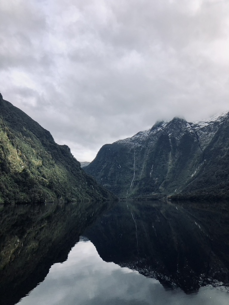 Green mountains and clear water reflection at Doubtful Sound, New Zealand