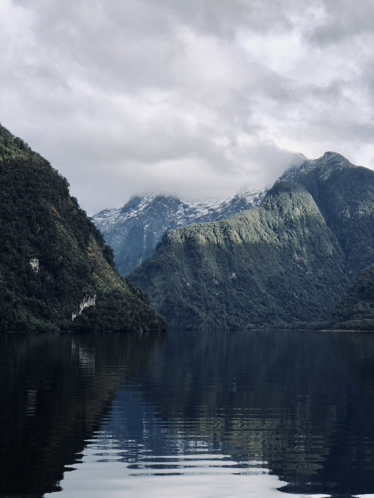 Green snow capped mountains and water reflection at Doubtful Sound, New Zealand