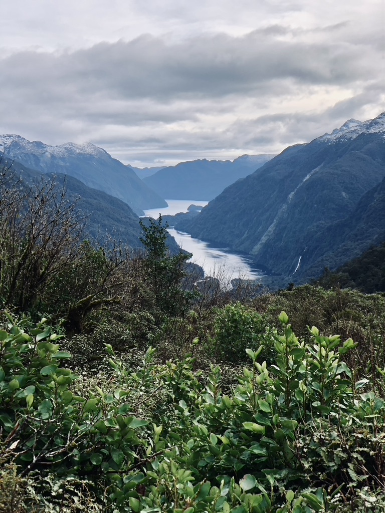 View of Doubtful Sound, New Zealand from above
