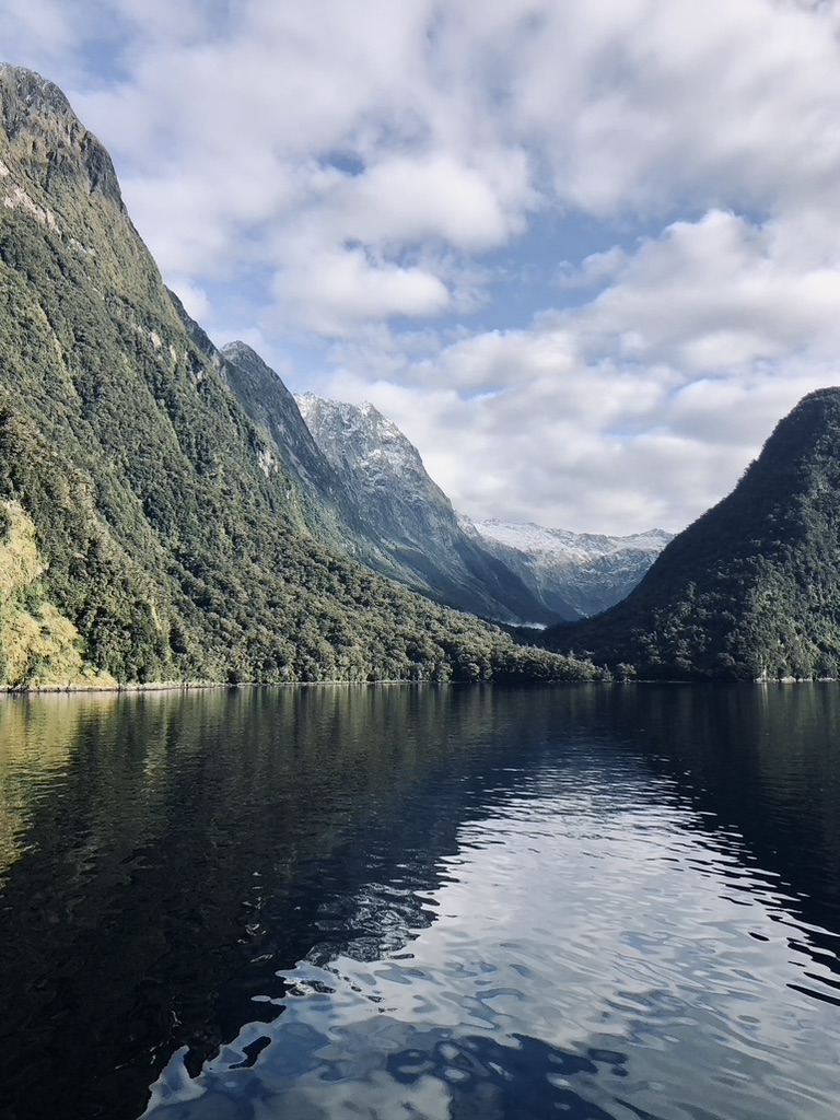 Green mountains and water reflection at Milford Sound, New Zealand