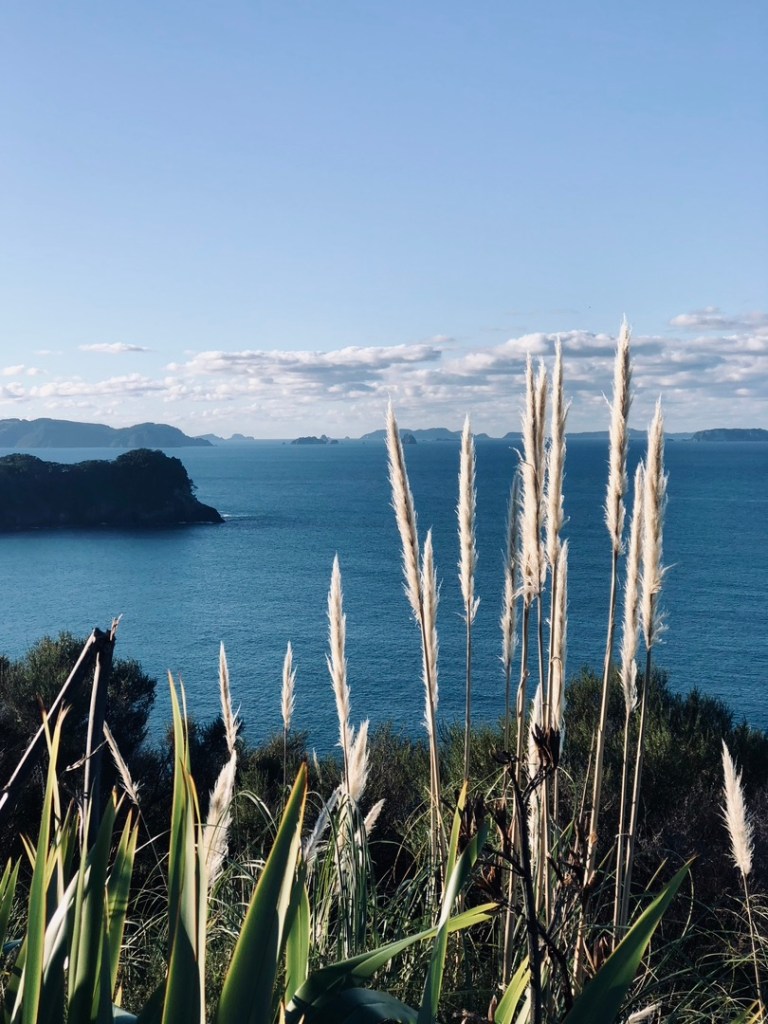 Ocean views from the top of Cathedral Cove in New Zealand