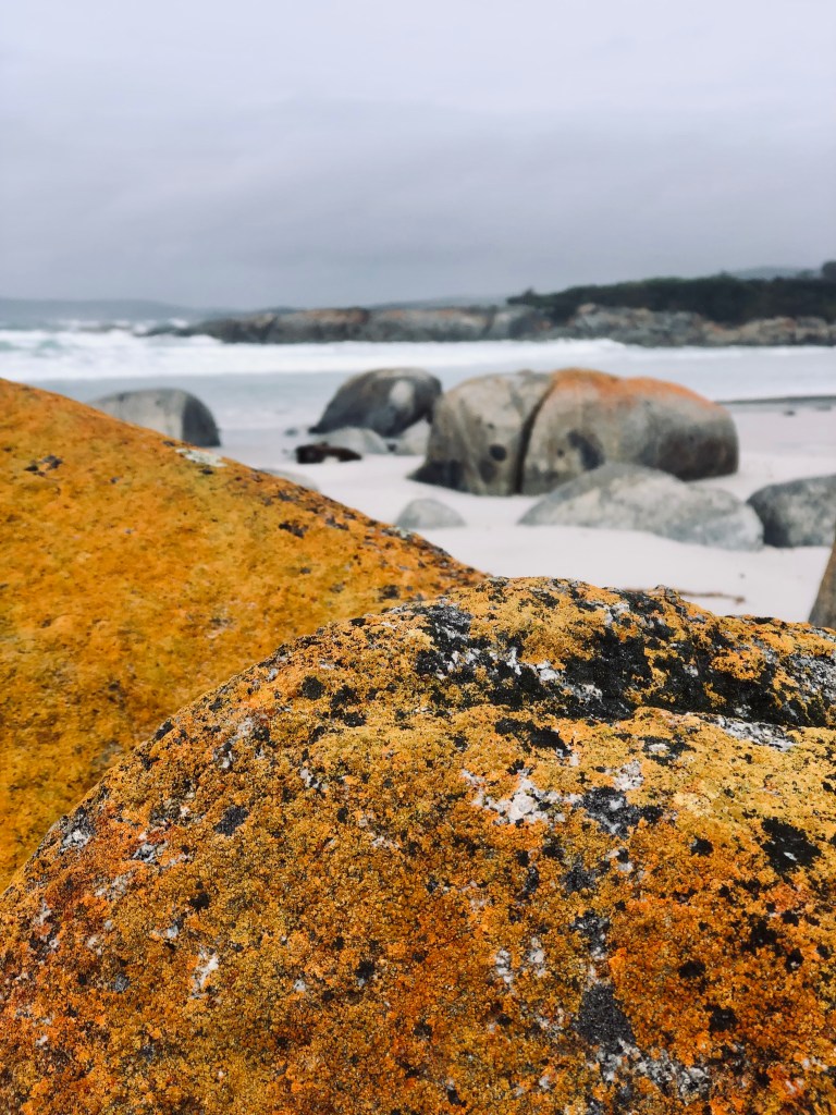 Red rocks at Bay of Fires in Tasmania, Australia