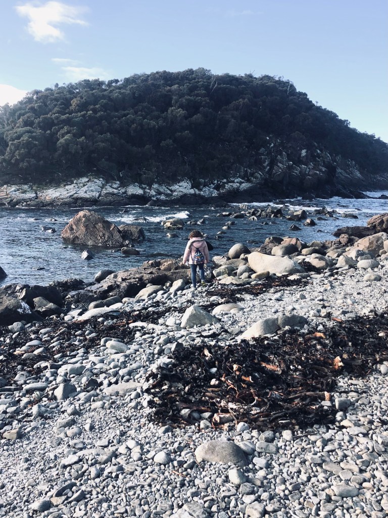 Rocks and island on Bruny Island, Tasmania