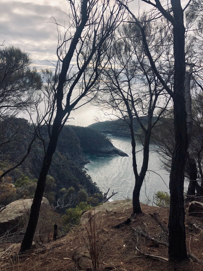 Views of trees and island from top of hike on Bruny Island