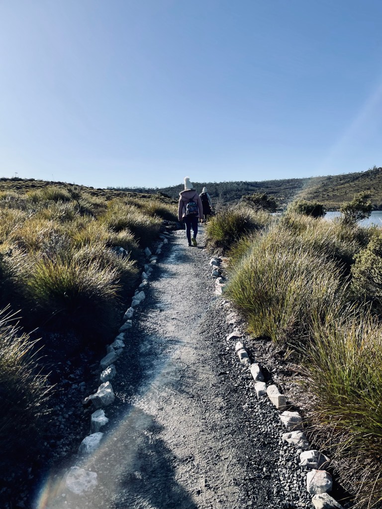 Hiking path at Cradle Mountain National Park in Tasmania, Australia