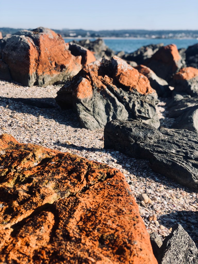 Red rocks on the beach in northern Tasmania, Australia