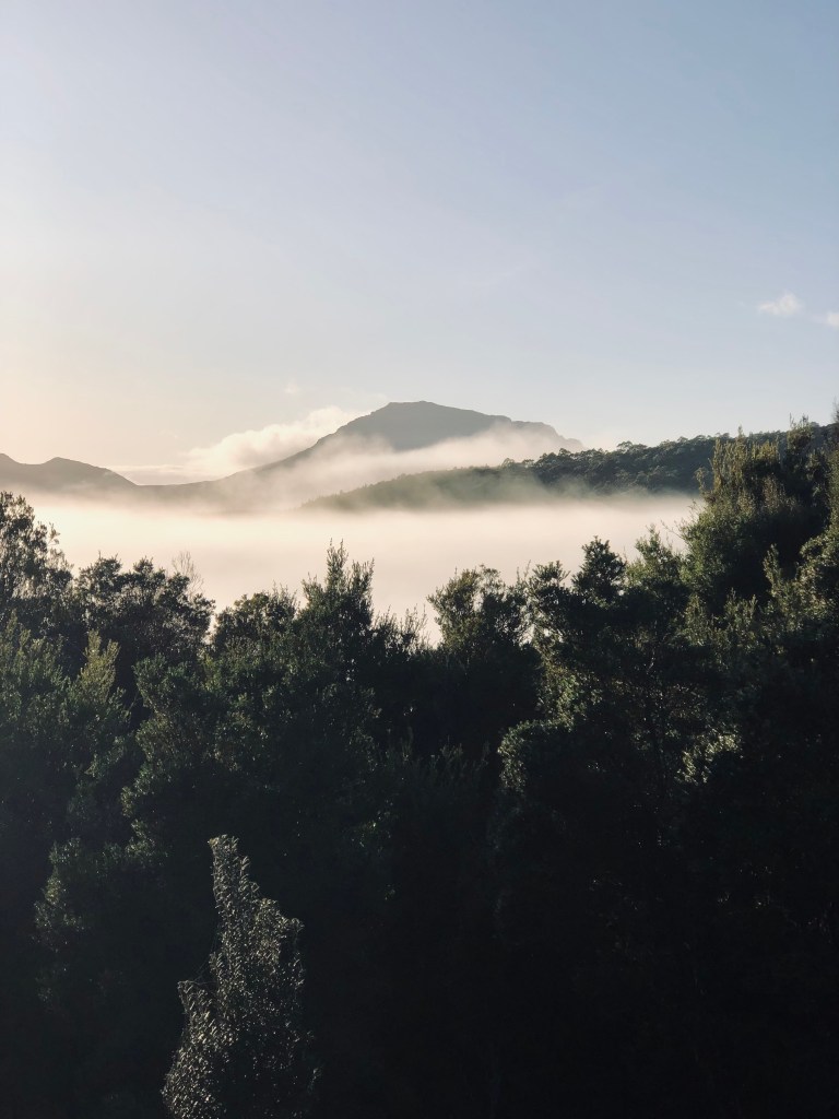 Misty mountains in the Western Wilds in Tasmania, Australia