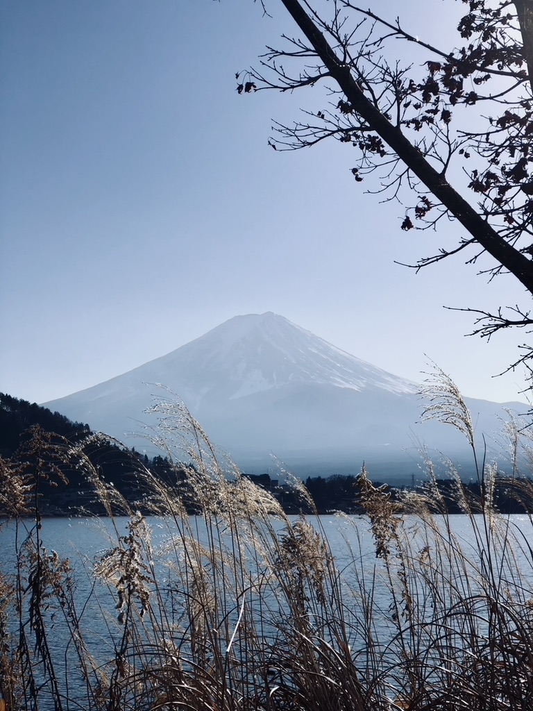 View of Mt Fuji from kawaguchiko, Japan