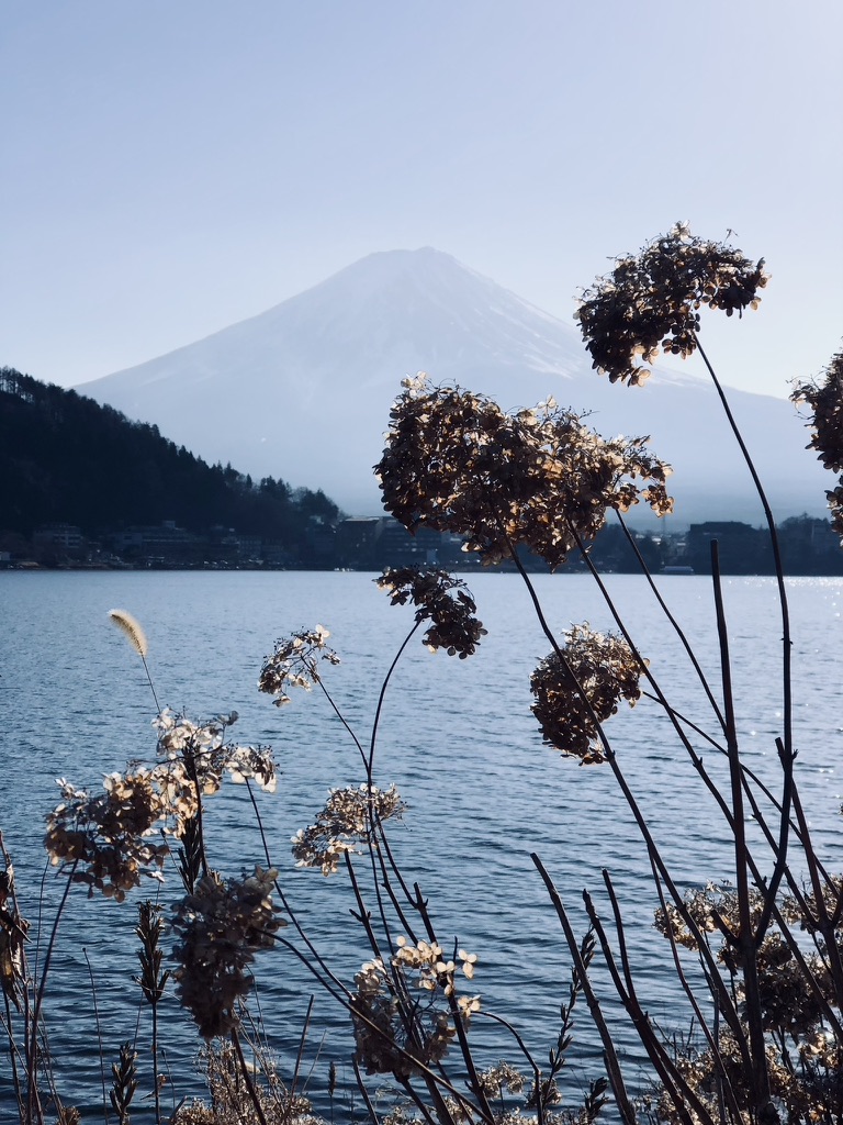 View of Mt Fuji from kawaguchiko, Japan