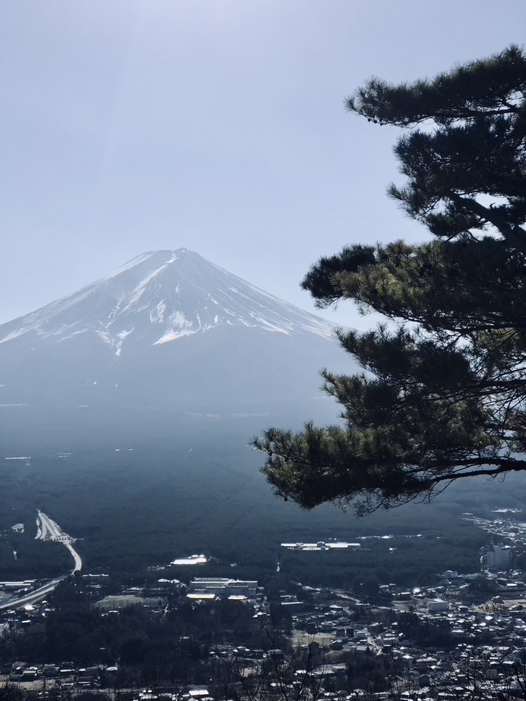 View of Mt Fuji on a sunny day from kawaguchiko, Japan