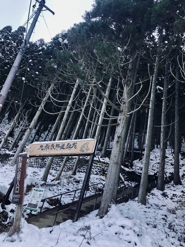 Entrance with stairs and forest at Snow Monkey Park in Japan