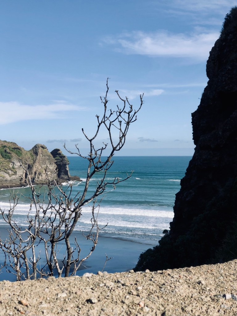 Beach in Piha on New Zealand's North Island