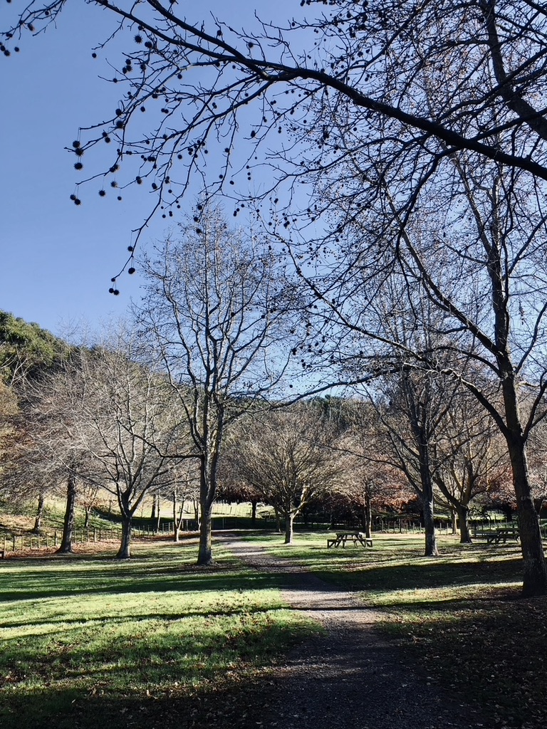 Green park in Napier, New Zealand