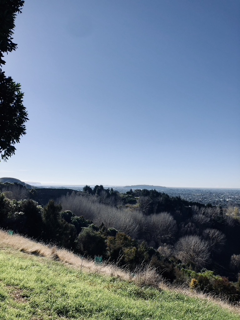 View of town from top of hill in Napier, New Zealand