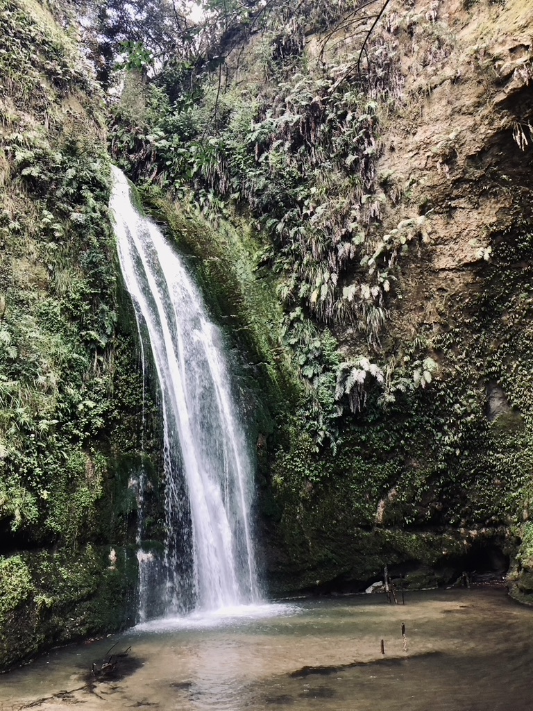 Waterfall in Napier, New Zealand