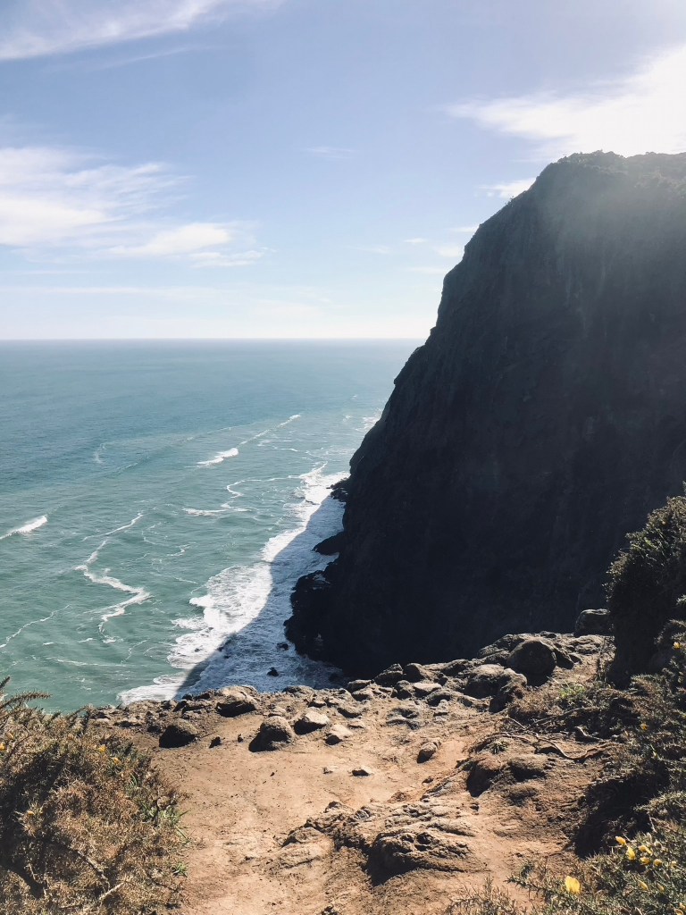 View of cliffs and ocean in Mercer Bay Loop in New Zealand's North Island