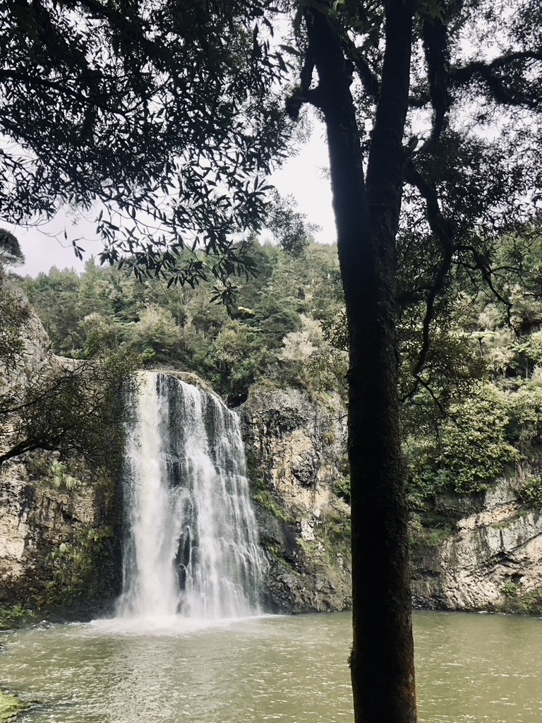 Waterfall in New Zealand's North Island